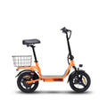 Bodywel T3 Electric Scooter