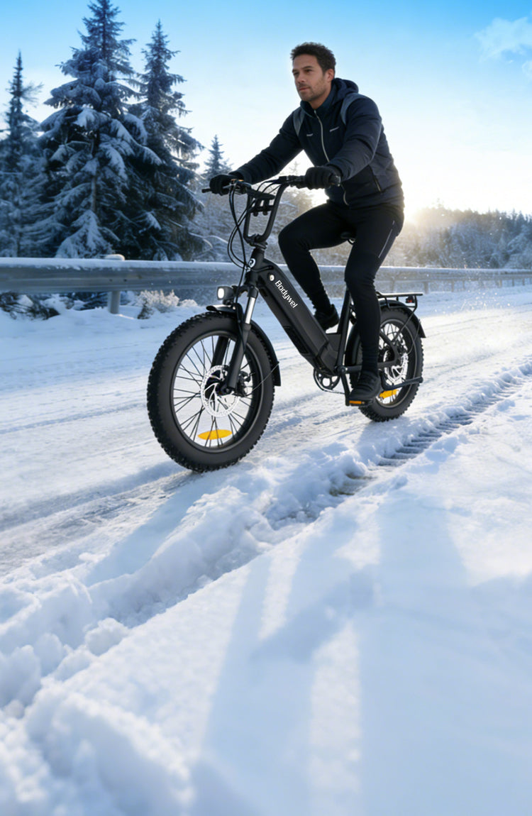 F20 City E-bike
