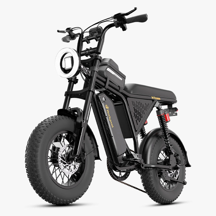 Bodywel M16 Pro Fat Tire E-Bike