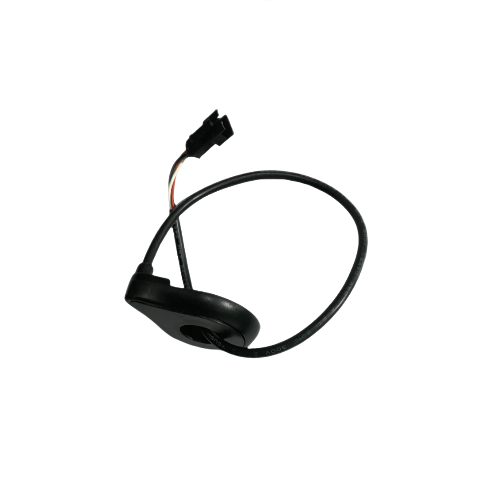 Bodywel Electric Bike Pedal Assist Sensor - BodyweI EU